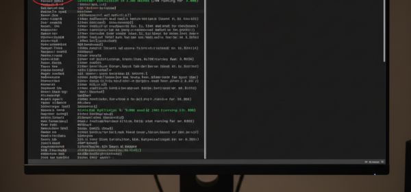 Spring Boot Native Image GraalVM Tutorial: From Source to Instant-On Binary